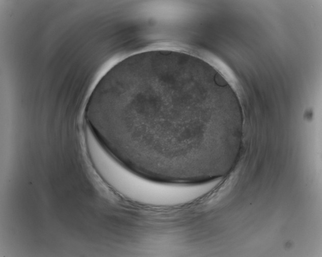 X0000102340907200808011138