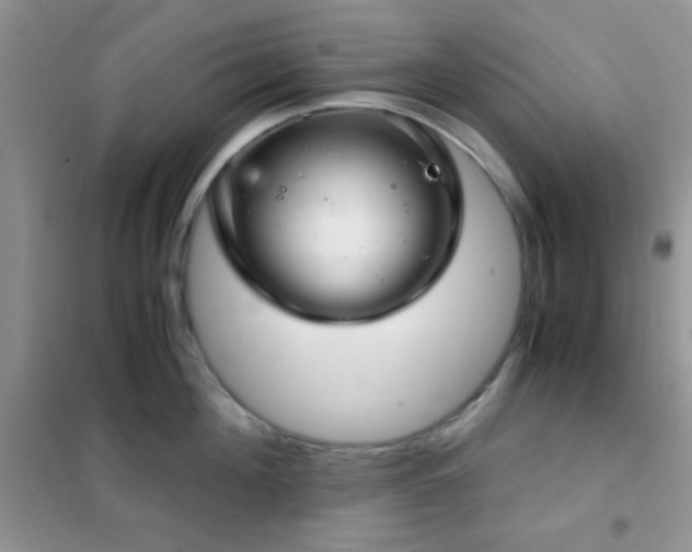 X0000102340908200808011138