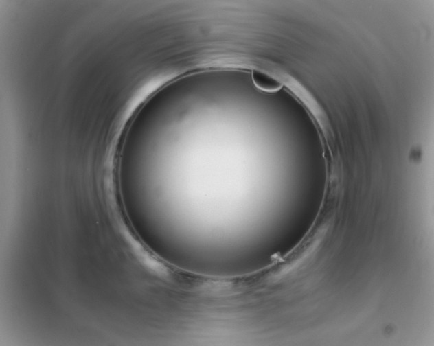 X0000102340909200808011138