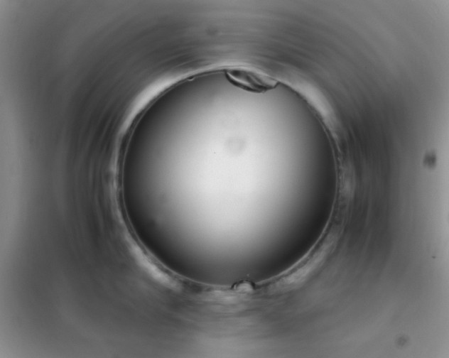 X0000102340910200808011138