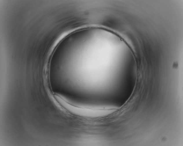 X0000102340911200808011138