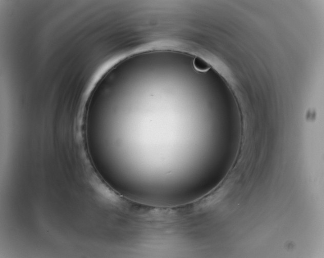 X0000102340912200808011138