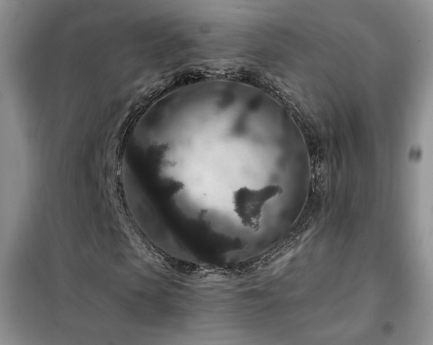 X0000102340913200808011137