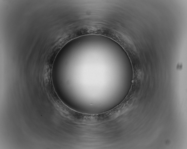 X0000102340914200808011137