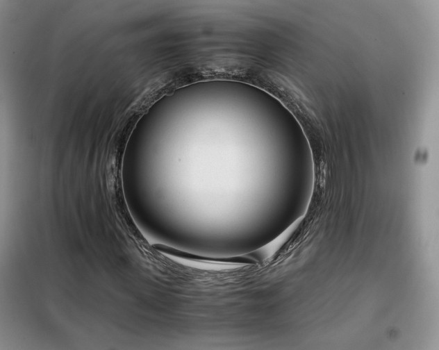 X0000102340915200808011137