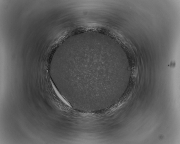 X0000102340916200808011137