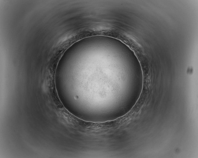 X0000102340917200808011137