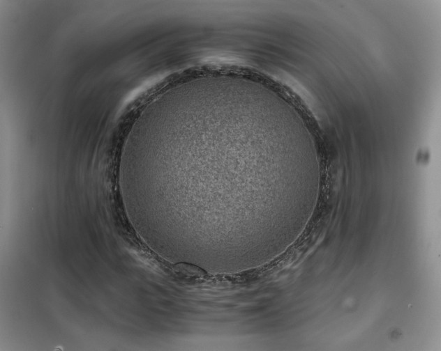 X0000102340919200808011137