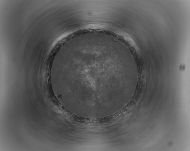 X0000102340920200808011137