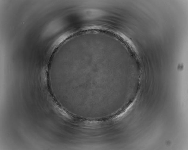 X0000102340921200808011137