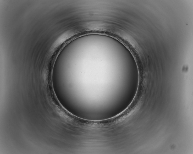 X0000102340922200808011137