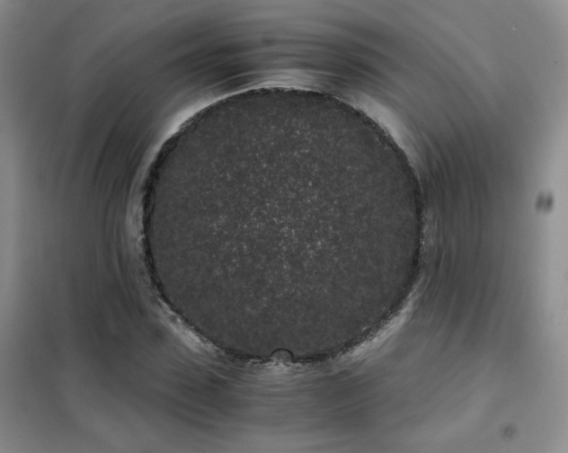 X0000102340923200808011137