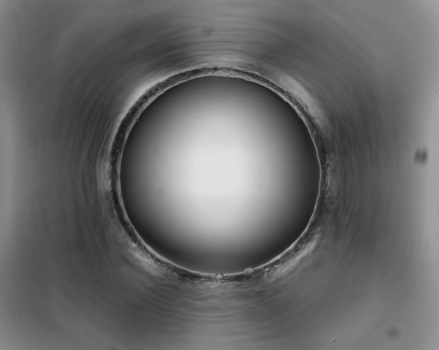 X0000102340924200808011137