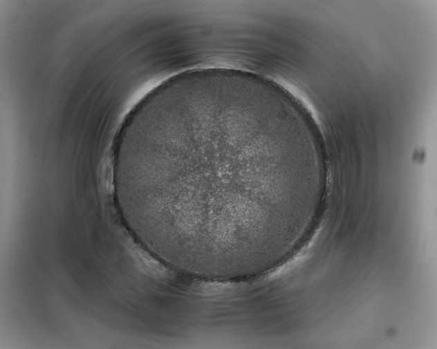 X0000102340925200808011137