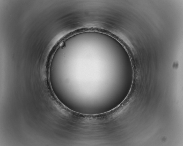 X0000102340927200808011137