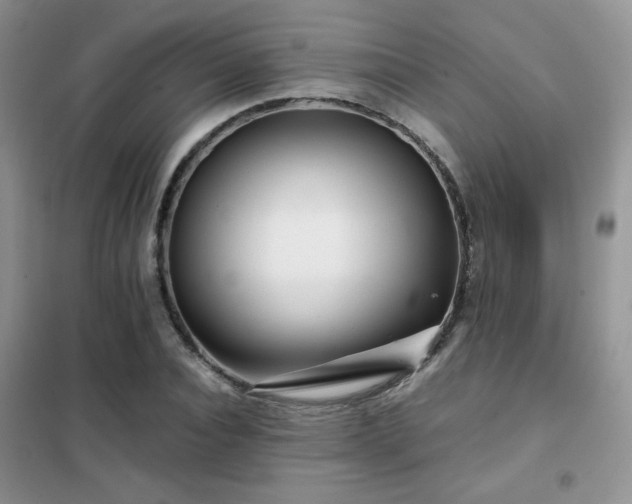 X0000102340928200808011137