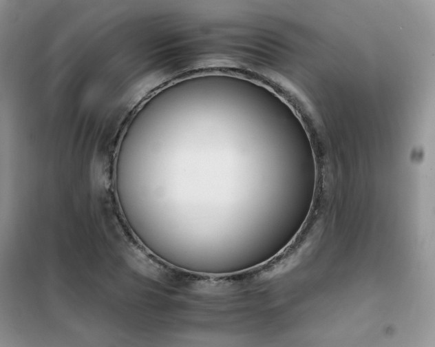 X0000102340929200808011137