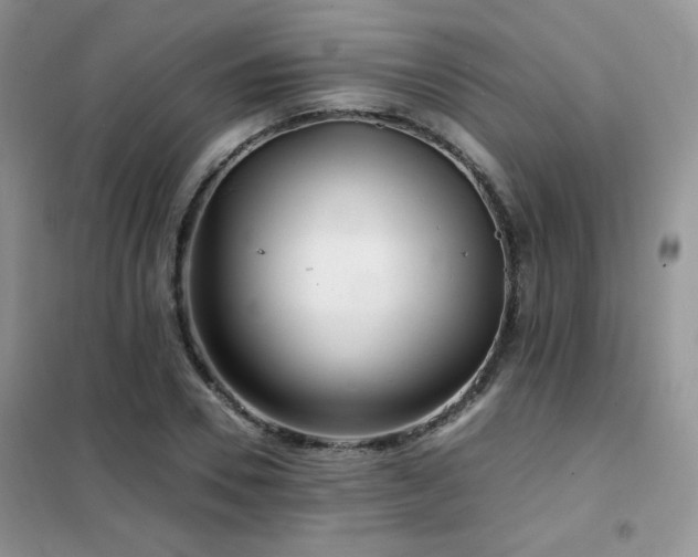 X0000102340930200808011137