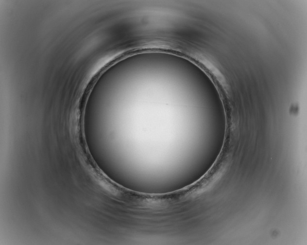 X0000102340933200808011137