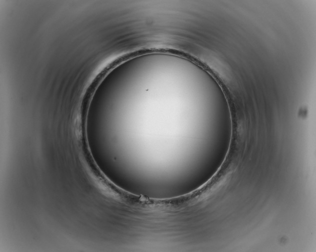 X0000102340934200808011137