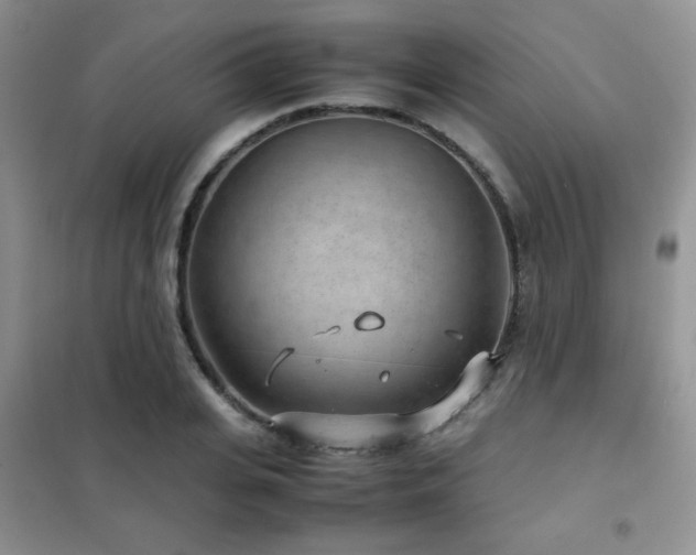 X0000102340935200808011137