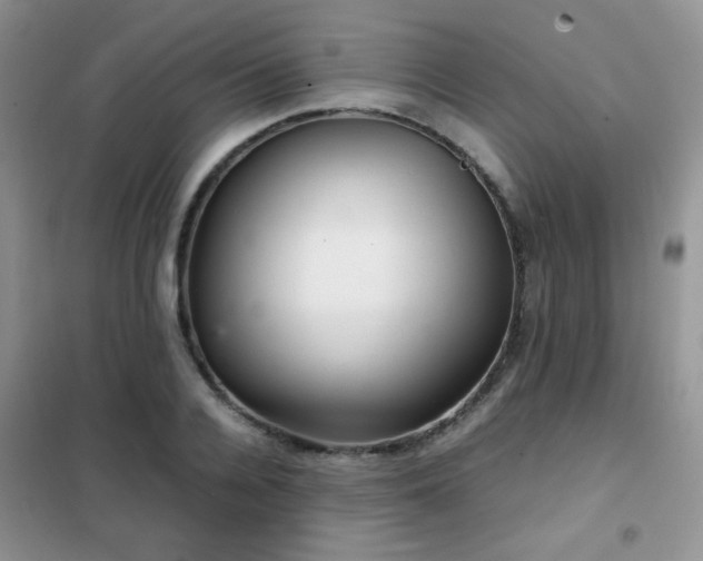 X0000102340936200808011137