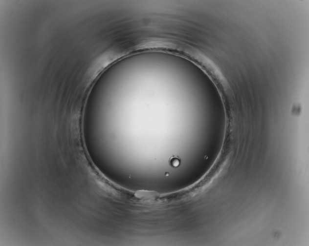 X0000102340937200808011137