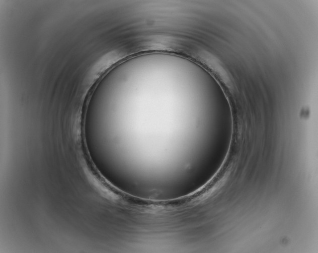 X0000102340938200808011137