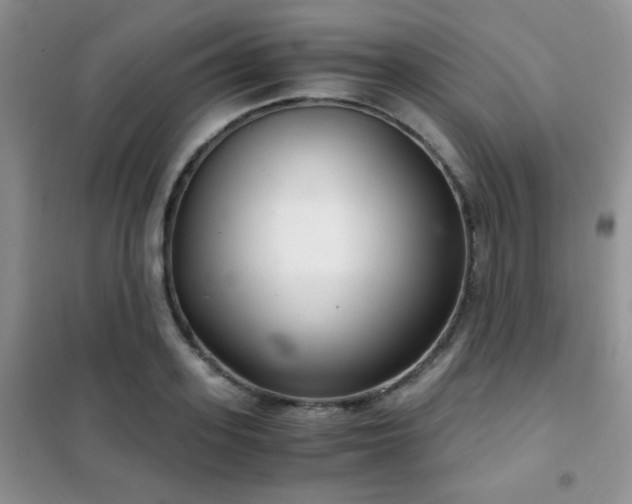 X0000102340939200808011137