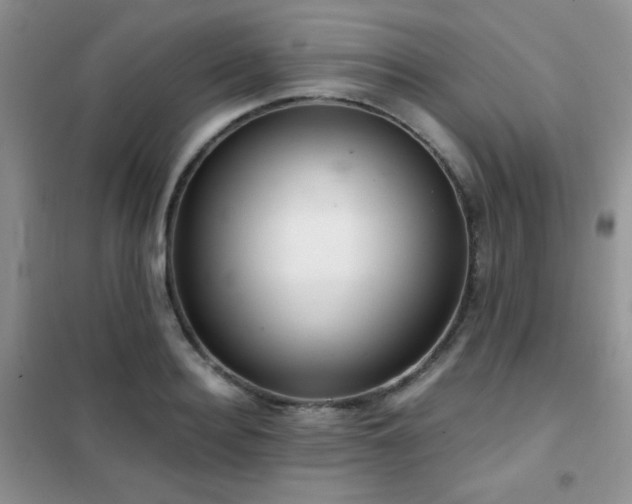 X0000102340940200808011137