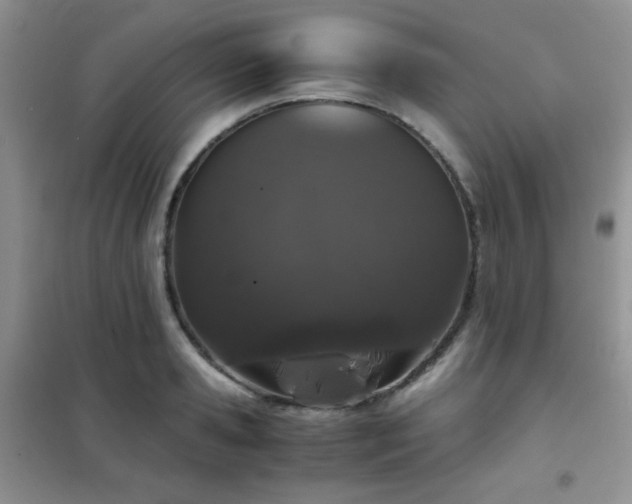 X0000102340941200808011137