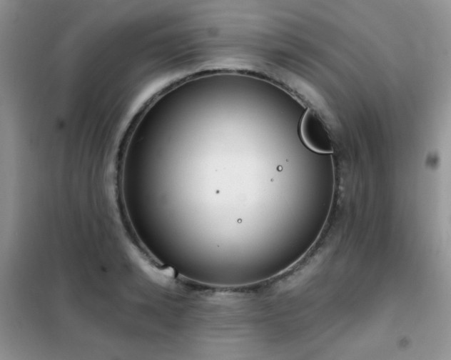 X0000102340942200808011137