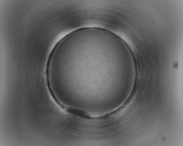 X0000102340943200808011137