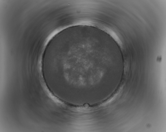 X0000102340944200808011137