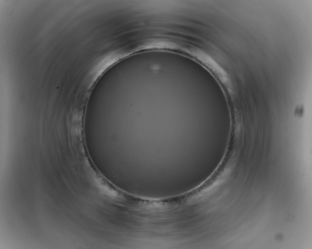 X0000102340945200808011137