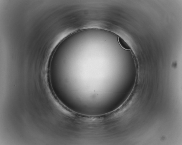 X0000102340949200808011137