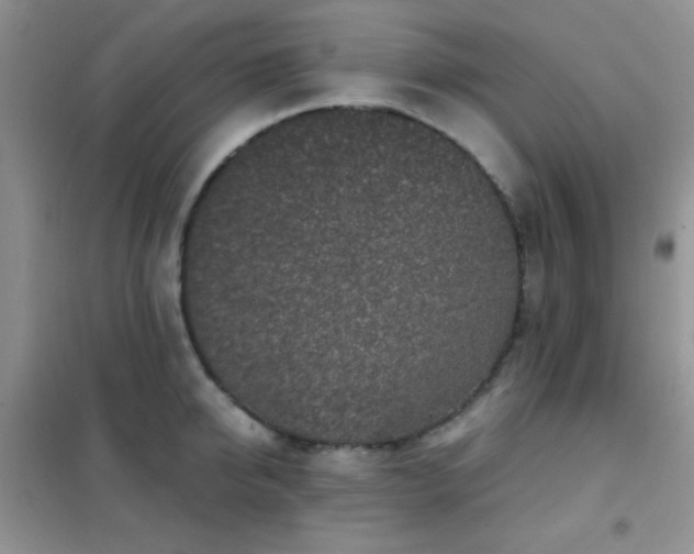 X0000102340950200808011137