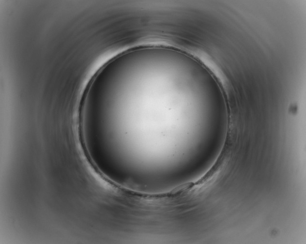 X0000102340951200808011137