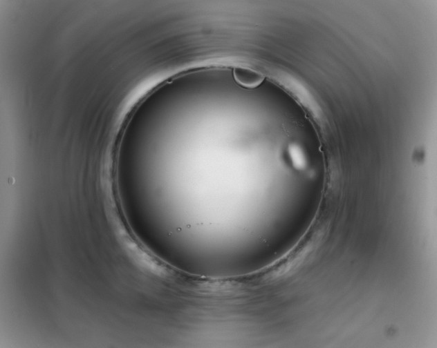 X0000102340952200808011137