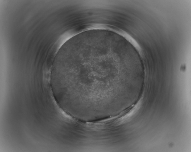 X0000102340953200808011137