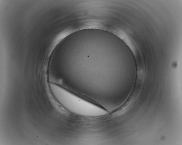 X0000102340954200808011137