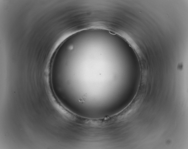 X0000102340955200808011137