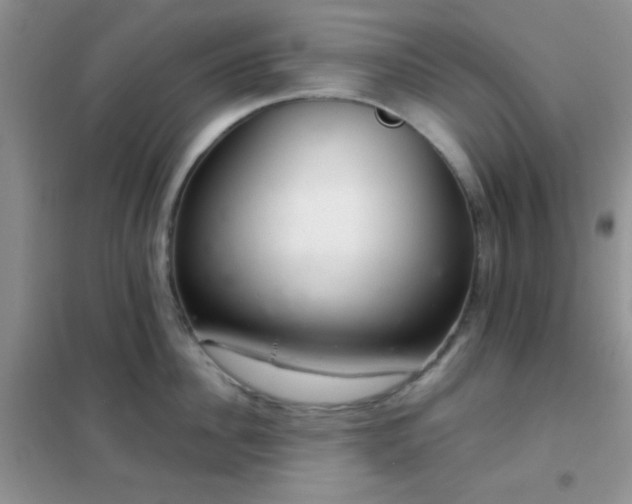 X0000102340956200808011137