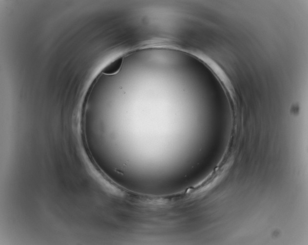 X0000102340957200808011137