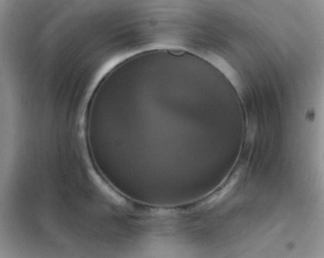 X0000102340958200808011137