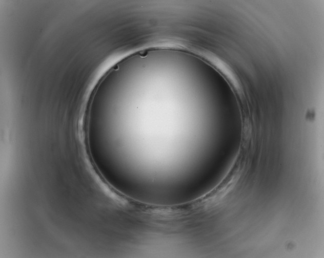 X0000102340959200808011137