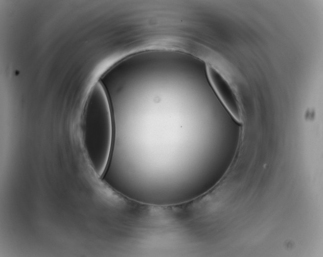 X0000102340960200808011137