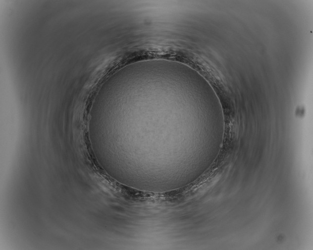 X0000102340961200808011137