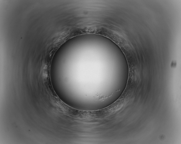 X0000102340962200808011137