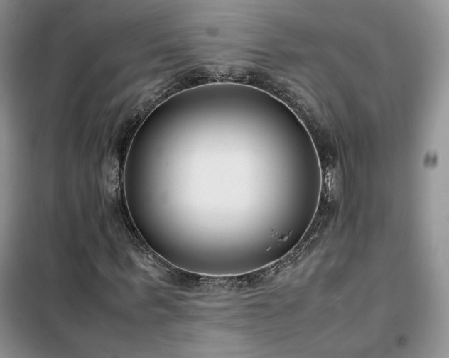 X0000102340963200808011137